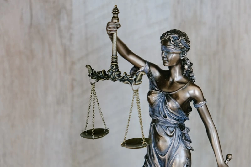 Abogados profesionales en reunión